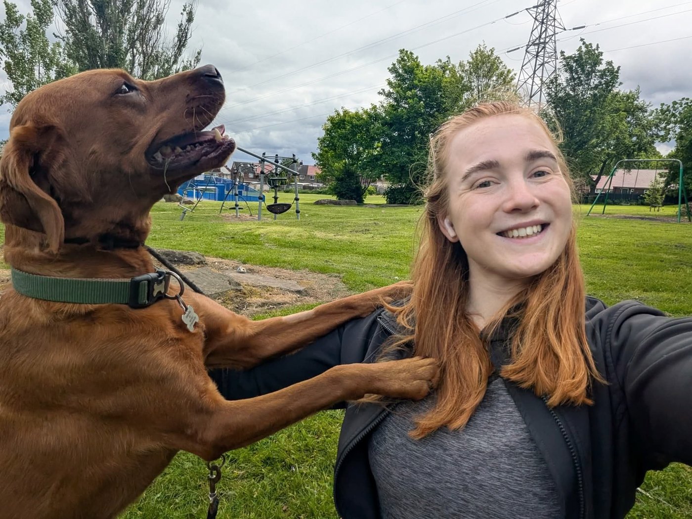 Dog smiling outdoors